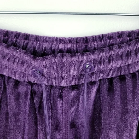 Urban Outfitters Plum Striped Velvet Suede Shorts NWT